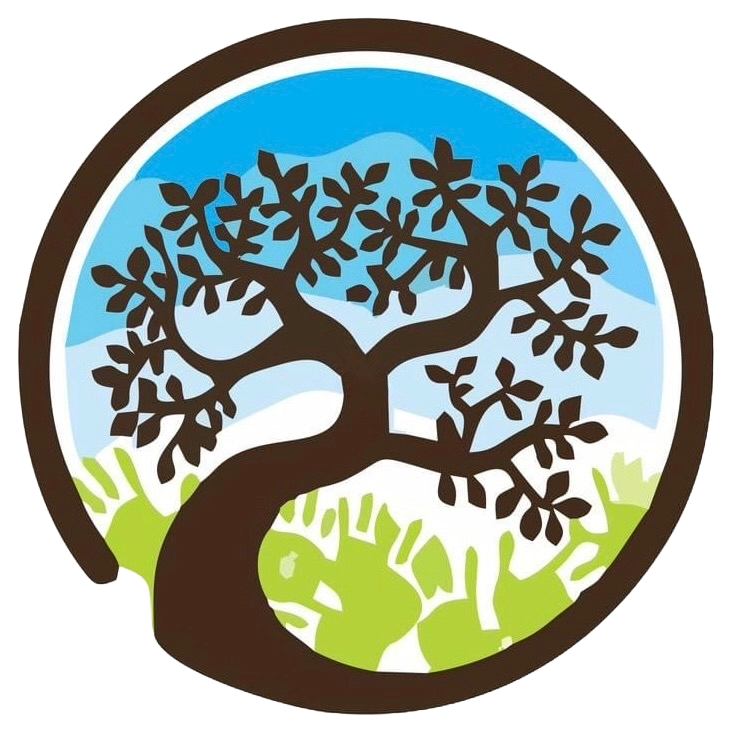 The Mountain Community School